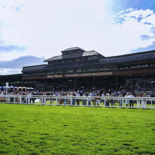 ripon-races-red-hawk