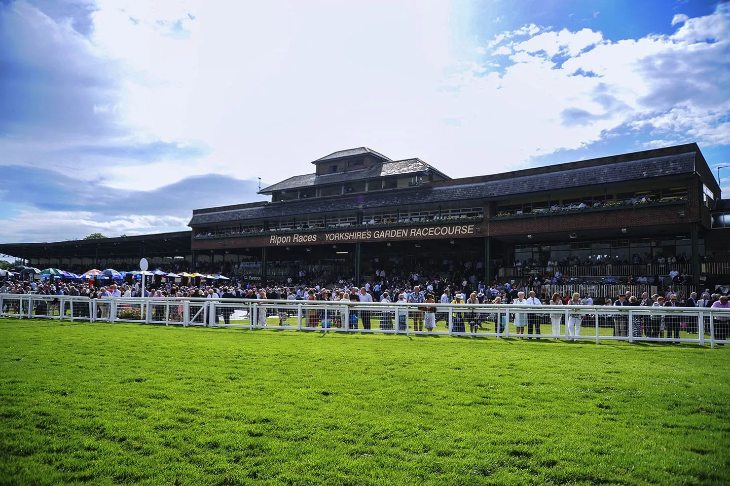 ripon-races-red-hawk